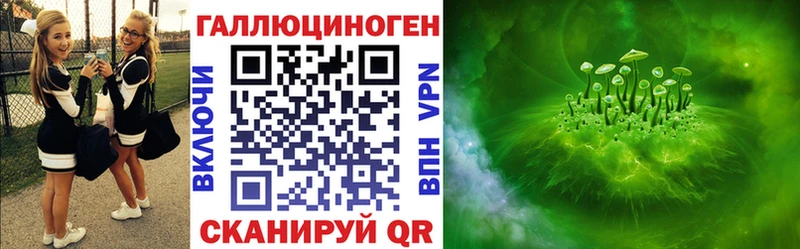 Псилоцибиновые грибы MAGIC MUSHROOMS  наркотики  Новотитаровская 